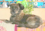 Mery5