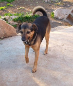 truci 20101215 1589893019