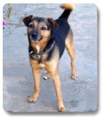 truci 20101215 1745102543