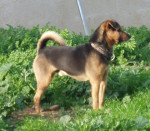 truci 20101215 1770419801