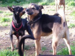 truci 20101215 1865424758
