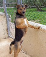 truci 20110111 1235870727