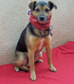 truci 20110111 1325272356