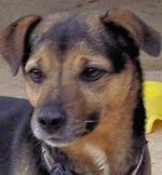 truci 20110111 1429569732