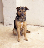 truci 20110111 1436964443
