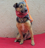 truci 20110111 1495557725