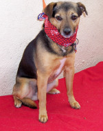 truci 20110111 1505902293