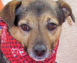 truci 20110111 1659130571