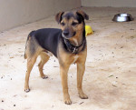 truci 20110111 2016960666