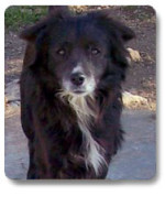 ultimo 1 20120217 1283866068