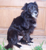 ultimo 2 20120330 1256836532