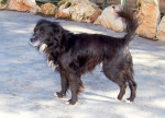 ultimo 3 20120217 1511530339