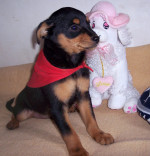 vicente 3 20130203 2043348620