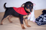 vicente 6 20130203 1098276242