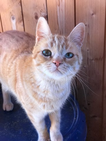 KaterGarfield9