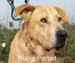 Rubio290819 Portrait