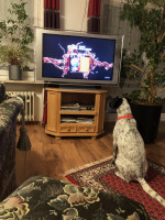 IMG 1137 IMG 1137