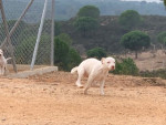 IMG 99603