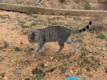 IMG 3854