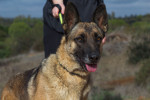 Loba21