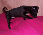 sissie 20101205 2060415236