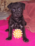 sonnie 20101205 1028473068