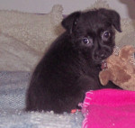 sonnie 20101205 1387279075