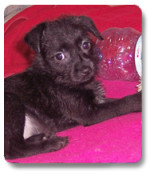 sonnie 20101205 1975038652