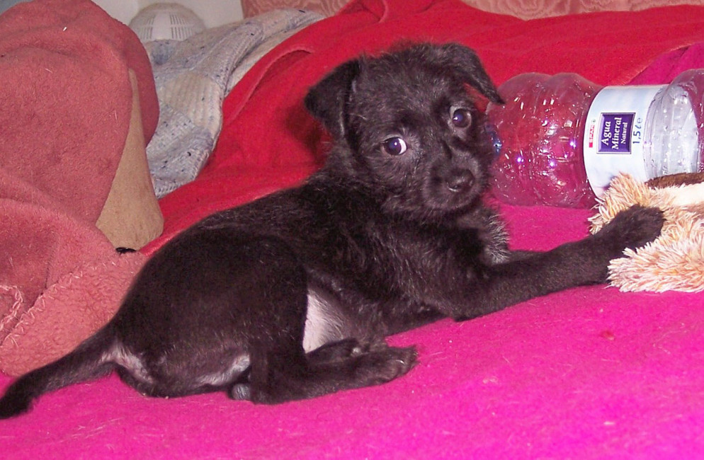 sonnie 20101205 2052441418