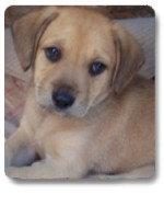sonnyboy 1 20120508 1806943407