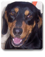tin tin 20110115 1015362624