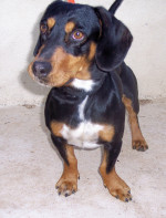 tin tin 20110115 1142951532