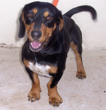 tin tin 20110115 1290060694