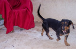 tin tin 20110115 1582531558