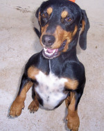 tin tin 20110115 1643185875