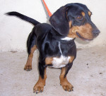 tin tin 20110115 1679720861
