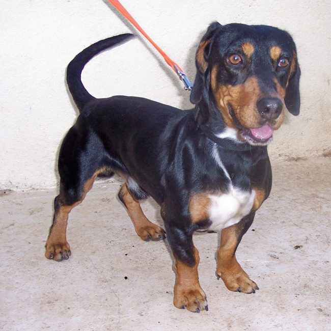 tin tin 20110115 1773027948