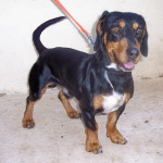 tin tin 20110115 1773027948