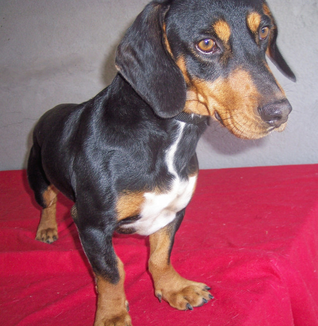 tin tin 20110115 1860328744