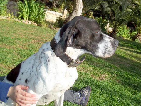 toby 5 20110504 2094762513