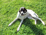 toby 6 20110504 1911977155