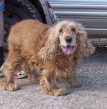 toto 3 20120302 1414768139