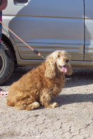 toto 4 20120302 1731581523