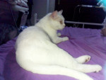 IMG 20210729 WA0008