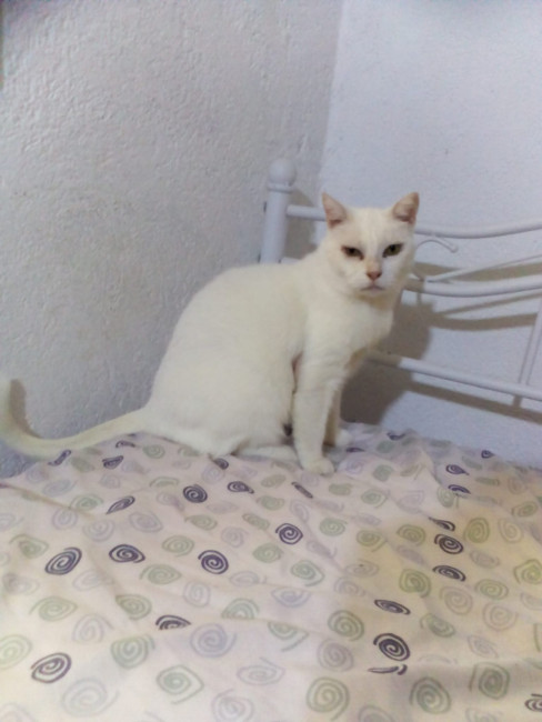 IMG 20210811 WA0009