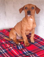 rulo 20101116 1483104778