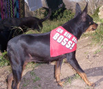 ruth 4 20140913 1976242176