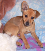 sally 3 20130803 1809997041