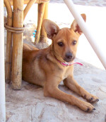 sally 4 20130803 1133981629