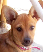 sally 5 20130803 1004338876